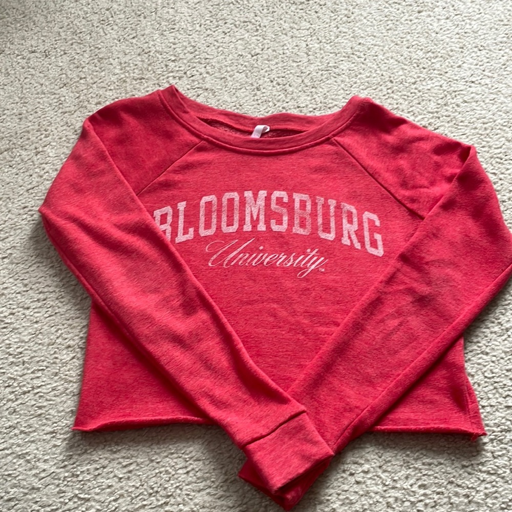 Bloomsburg U crop top